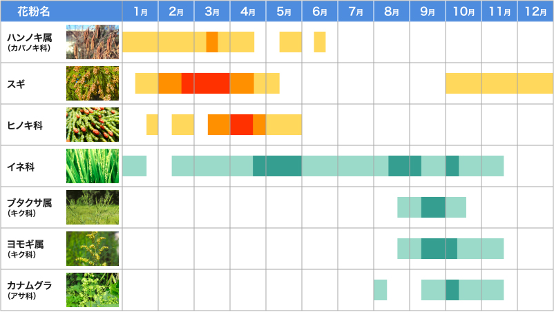 図：花粉が飛散する時期