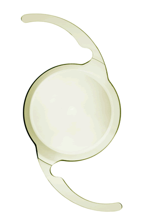 写真：ピュアシー